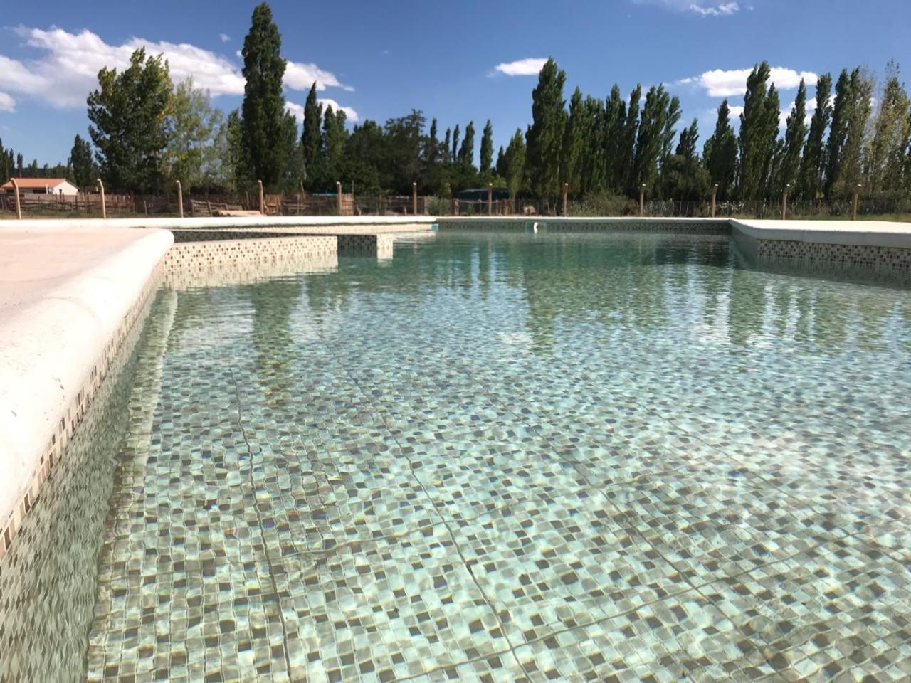 Posada Villa Pituil 巴雷阿尔 外观 照片